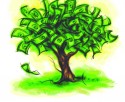 Money Tree