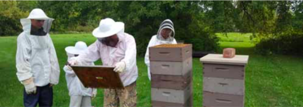 Betty Bee Apiary Provides a Glimpse Into the Hive